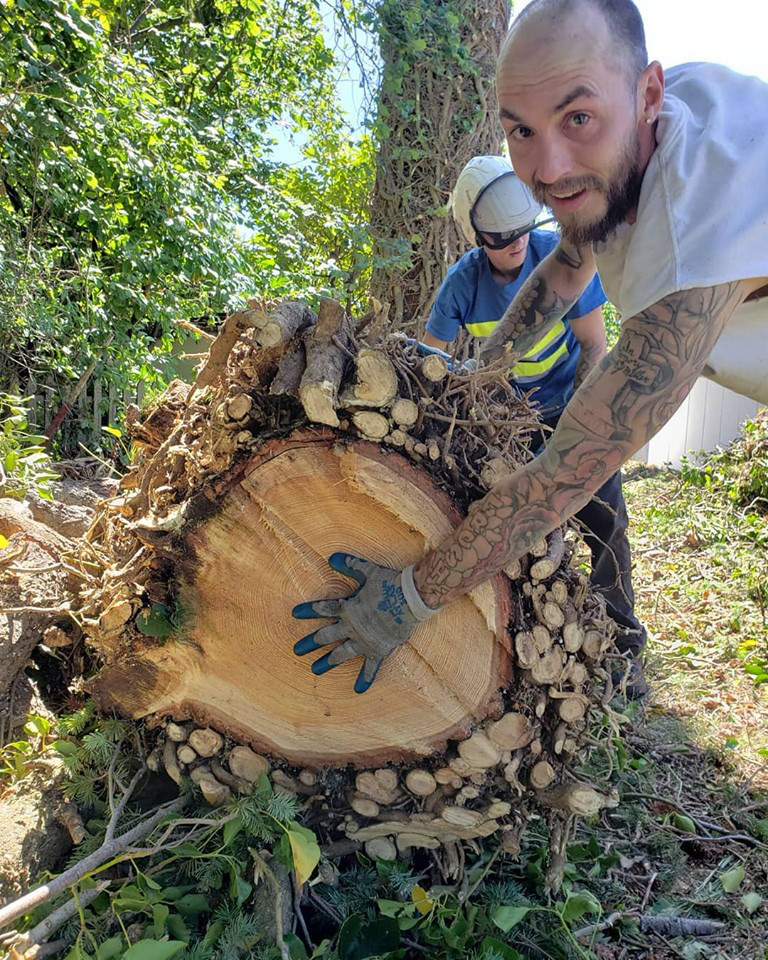 Tree Service | Bellingham | I've Got A Guy Tree Service