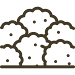 Tree Trimming Icon | I've Got A Guy Tree Service